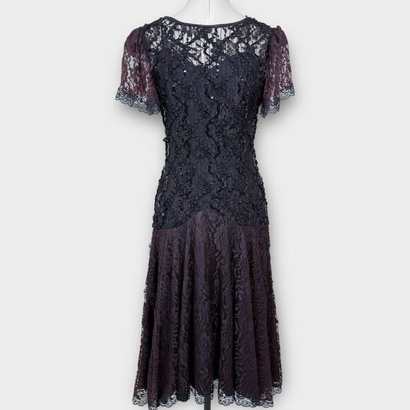 Vintage Lace Dress Size 9/10 Whimsigoth Regency Dark Romantic‎ Moody Prom Formal - Picture 1 of 14